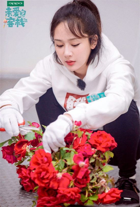 杨紫《亲爱的客栈》搞怪担当 灵魂献唱趣事多