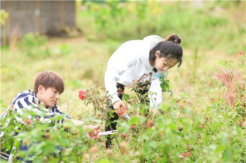 《亲爱的客栈》刘涛帮客人求婚 杨紫接棒易烊千玺