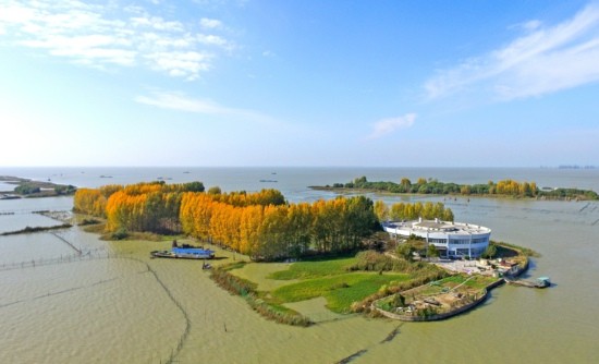 航拍洪泽湖大墩岛:树木包围 黄绿交错