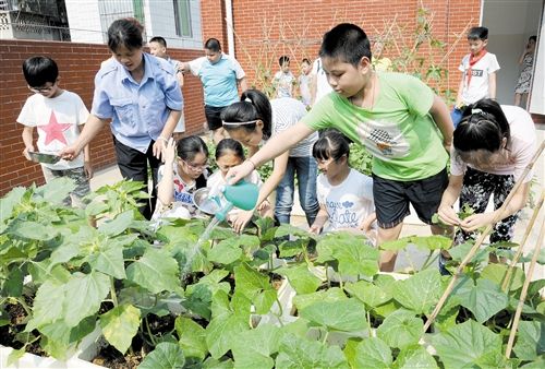 南宁部分学校弹性开设综合实践活动课