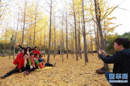 #����������1������������