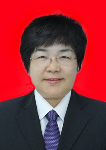 宁夏回族自治区党委干部2017年第11号任前公