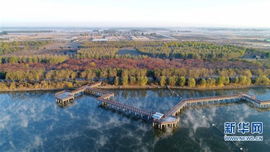 河北乐亭:滦河故道变身城市绿肺--旅游频道_