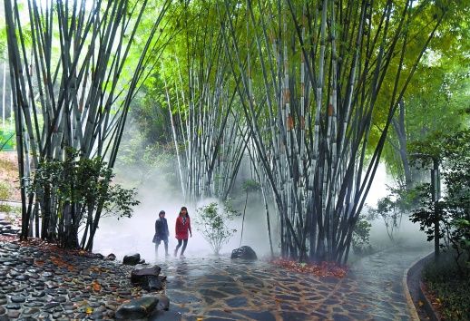 解决山谷水土流失问题,并梳理溪流水系,新增雾森系统,营造竹林仙境