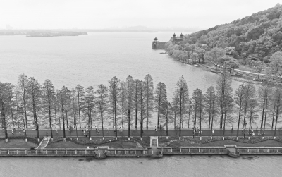 武汉2017年度二十大新闻事件候选条目