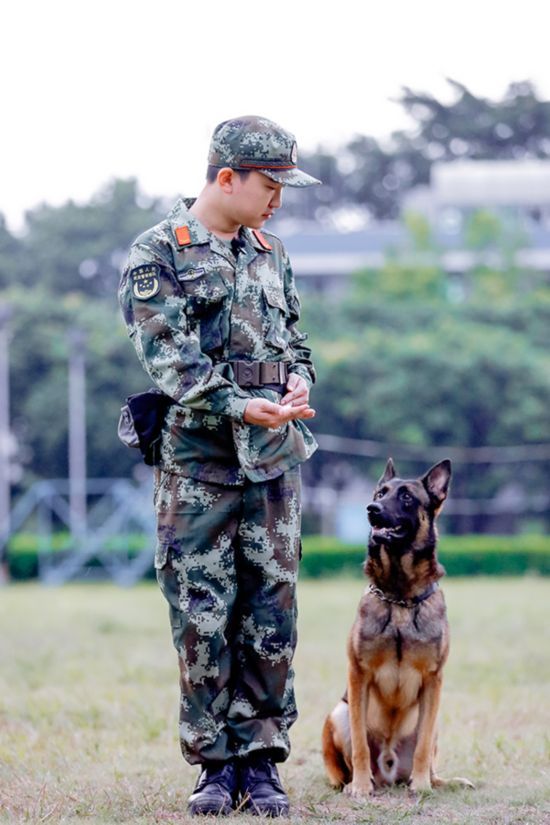 《奇兵神犬》阶段训练pk激烈 杨烁与都乐配合默契