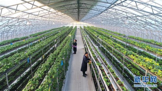 滦县人口_滦县公安局建成河北首家县级警用地理信息系统