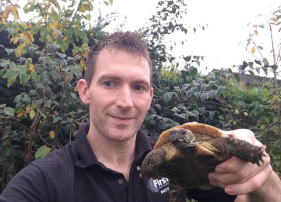 英宠物龟脾气超大 会巡逻领地连主人都攻击