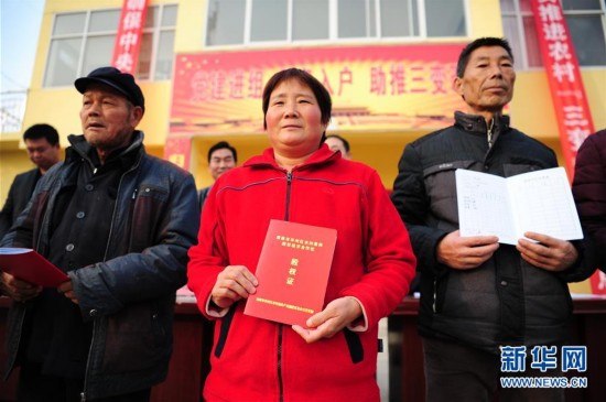 陕西:农村集体产权制度改革激活农村经济活力