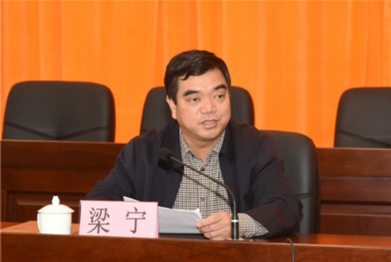 河池市委常委,组织部部长马南萍在会上宣布了河池市委关于宜州区委