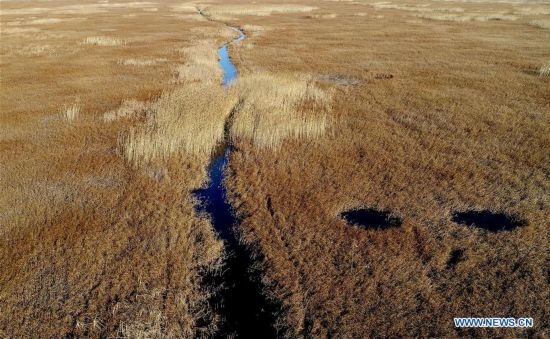 CHINA-TIANJIN-WETLAND-SCENERY (CN)