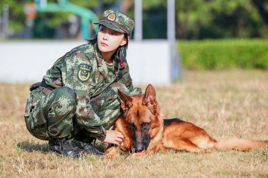 《奇兵神犬》张馨予搭档艾勒薇斯救援引泪崩