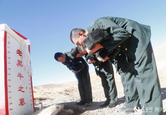 11月29日,退伍老兵向长眠于此的老黑牛鞠躬。