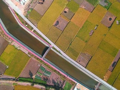 东冲半岛人口_人口普查(2)
