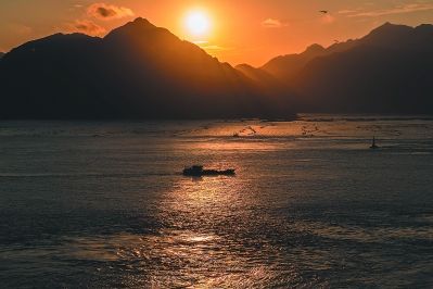 东冲半岛人口_人口普查