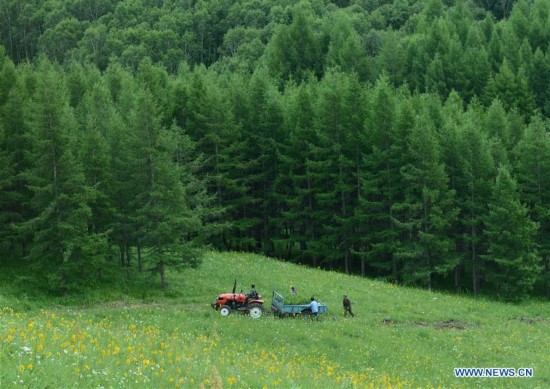 CHINA-HEBEI-CHENGDE-SAIHANBA FOREST (CN)