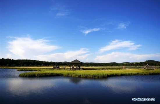 CHINA-HEBEI-CHENGDE-SAIHANBA FOREST (CN)