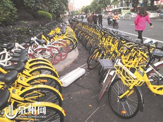 泉州中心市区达饱和程度 禁止新增投放共享单车