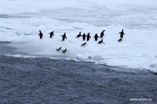 CHINA-XUELONG-ANTARCTIC EXPEDITION