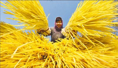 万池蒜黄遍地金