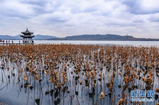 （美丽中国）（2）冬日西湖呈现“多彩画卷”