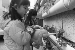 川内首个绿色幼儿园:自然光照明 收集雨水浇