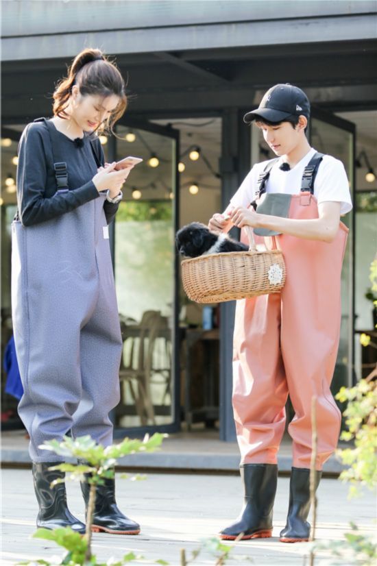 《青春旅社》宠狗狂魔王源爱上游戏鸡