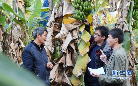 (法治)福建南靖:深化驻村党风监督员工作取得成效
