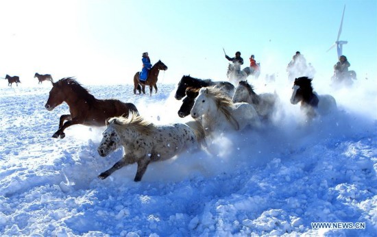 #CHINA-INNER MONGOLIA-XILINGOL-WINTER-HORSE(CN)