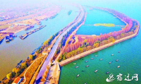 宿迁市区气温持续回升 冬景美如画