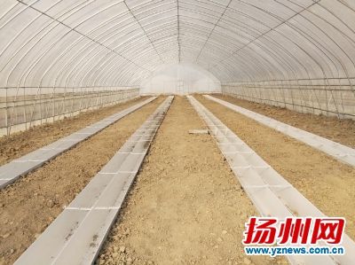 在建的蔬菜研究展示和育种基地