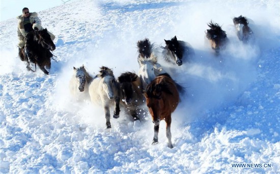 #CHINA-INNER MONGOLIA-XILINGOL-WINTER-HORSE(CN)