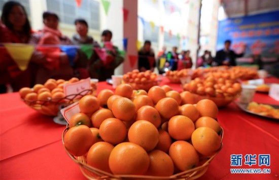����ᣩ��3�������ڰ����������ũ���¸�