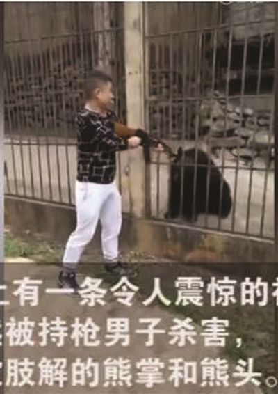 残杀黑熊视频惹众怒 但事发地点在缅甸(图)