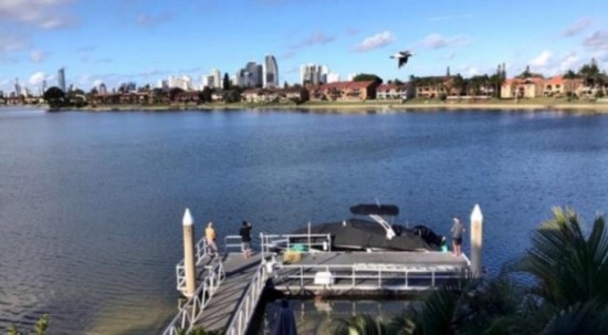 周杰伦澳洲看海鸟让网友猜歌名 网友调侃:可不