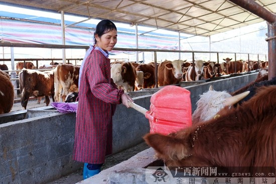 广西:打通扶贫产业流通血管 唤醒脱贫