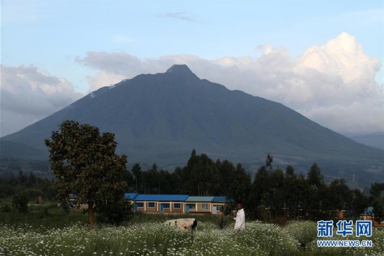 （國際·圖文互動）（4）通訊：非洲火山下的野保接力