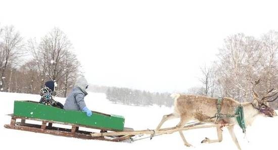 孙俪携家人滑雪庆元旦 邓超惨遭打脸