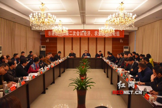 郑建新与衡阳市政协委员一起审议《政府工作报