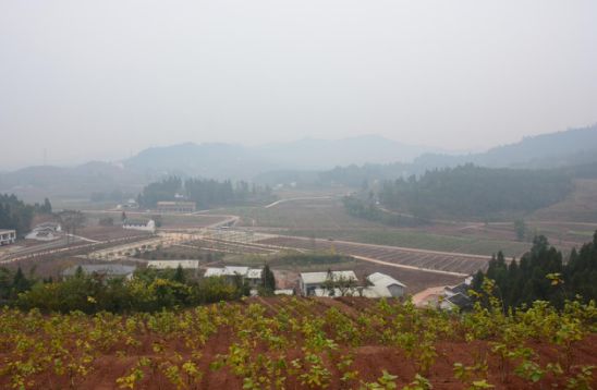 脱贫产业园:推动南充贫困群众迈入致富快车道