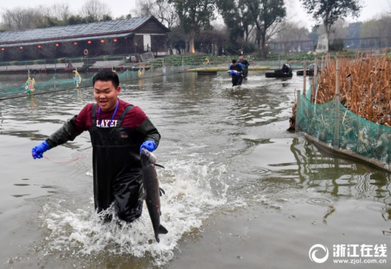 湖州:桑基鱼塘美 水乡品鱼宴