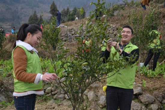 思南:团县委实施五大工程 唱响生态优先 绿色