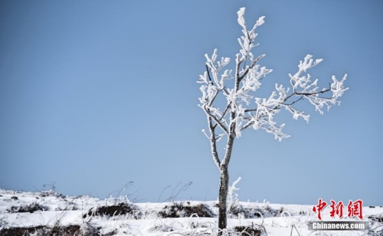 三峡云台荒现迷人雪景 纯美如童话世界