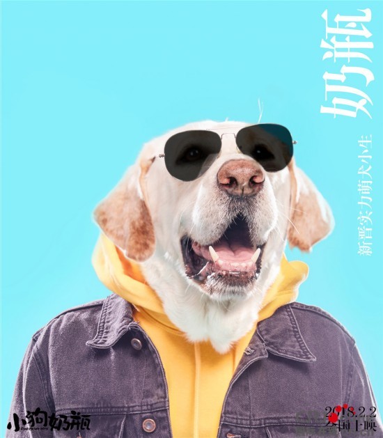 《小狗奶瓶》奶瓶马达曝狗年最旺时尚大片