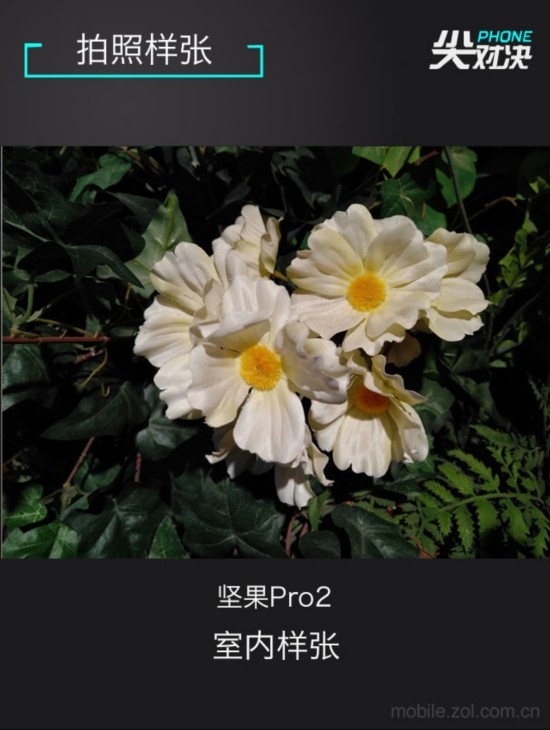 魅蓝全面屏已来 坚果荣耀守擂能否成功