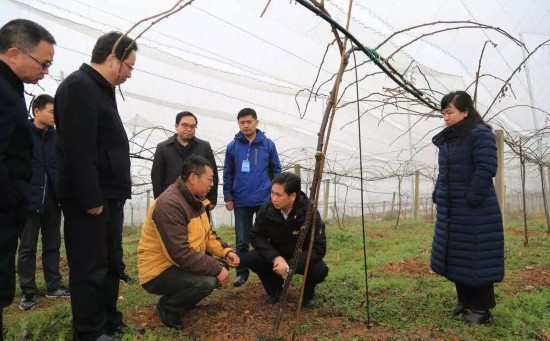 张集智到毕节大方县调研脱贫攻坚工作