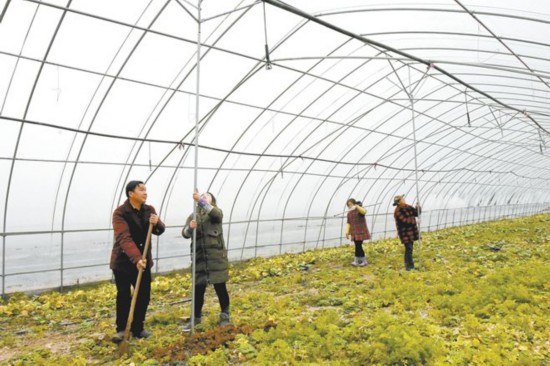 安徽各部门积极防范应对雨雪冰冻天气