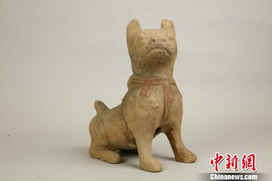 重慶展出“狗”文物珍品漢代“千年萌寵”吸睛