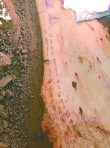 甲字形墓葬M13墓道填土中出土的有字卜骨