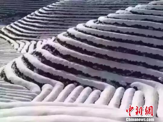 浙江迎低温雨雪天气多部门启动应对措施